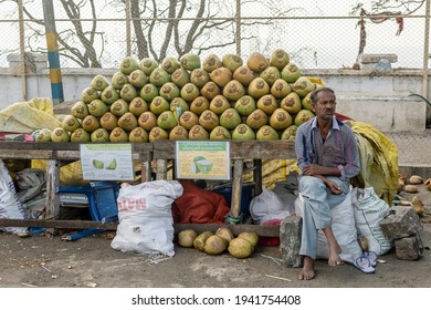 Mysore, Karnataka, India - January 2019: An Indian street vendor selling coconuts at his stall in the Chamundi Hills area of Mysore.