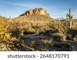 Mysteries, legends swirl around Superstition Mountains long as humans inhabited area, from Pima Indians. Famous legend Lost Dutchman Mine, hidden in Superstition Wilderness, rumored full of gold