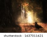 Mysterious autumn forest and magic sword with crow guardian.