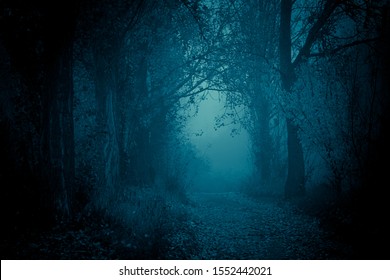 Mysterious, blue-toned forest pathway. Footpath in the dark, foggy, autumnal, cold forest among high trees. - Powered by Shutterstock