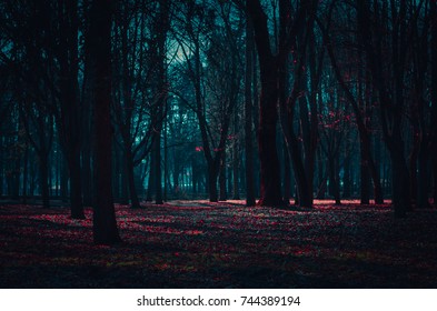 Mysterious fairy forest in a fog with red flowers lit by moonlight.
