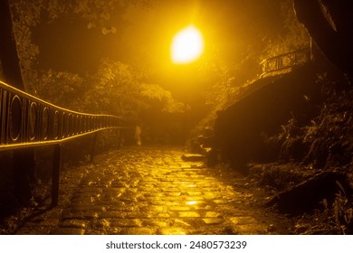 Mysterious foggy cobblestone path at night, illuminated under a warm street lamp reflecting off wet stones after rain. - Powered by Shutterstock