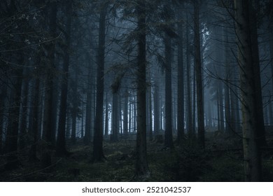 Mysterious Foggy Forest with Tall Trees in a Misty Atmosphere - Powered by Shutterstock