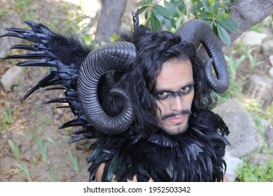 Mysterious forest creature with black wings
