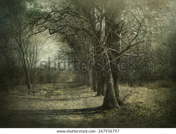 Mysterious Forest Vintagepainting Effect Stock Photo Edit Now