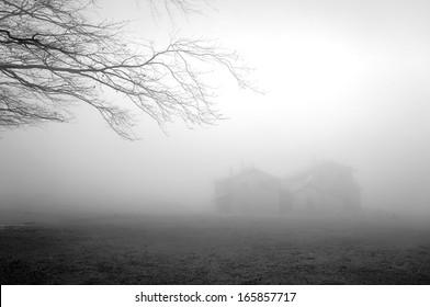 mysterious house in the forest with fog and a tree - Powered by Shutterstock