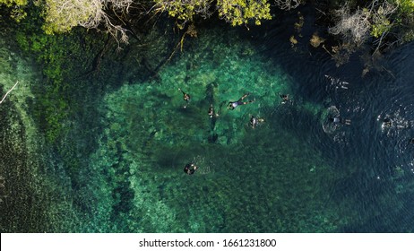 Mysterious Lagoon In Bonito State Of Mato Grosso