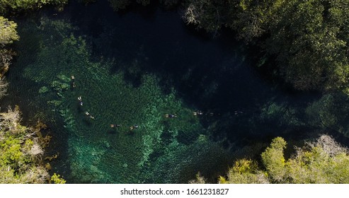 Mysterious Lagoon In Bonito State Of Mato Grosso