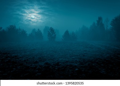 Mysterious landscape in cold tones - silhouettes of the trees on the night meadow under the full moon through dramatic cloudy sky.