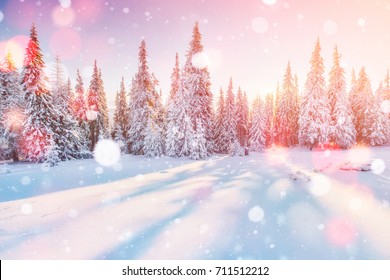 Mysterious landscape majestic mountains in winter. Magical snow covered tree. Photo greeting card. Bokeh light effect, soft filter. Carpathian  Ukraine Europe