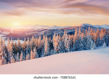 Mysterious landscape majestic mountains in winter. Magical snow covered tree. Photo greeting card. Carpathian Ukraine. Happy New Year. - Shutterstock ID 758876161