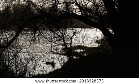 Foto Bild Am See Umwelt Natur