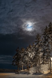 Mysterious Night Scape With The Glowing Moon Overcast By Clouds Above Pine Trees Covered  With Tick Snow In Finland , Enontekio , Lapland 