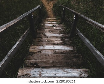 Mysterious Northwestern Michigan Lakeshore: A Moody Textured Wood Staircase Descending to Sandy Shores - Powered by Shutterstock