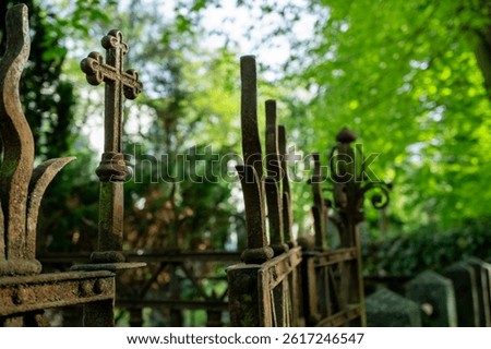 Mysterious old iron cemetery gate with cross, moss-covered and weathered, surrounded by haunting forest shadows.