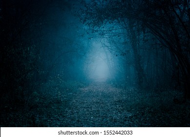 Mysterious pathway. Footpath in the dark, foggy, autumnal, misty forest.