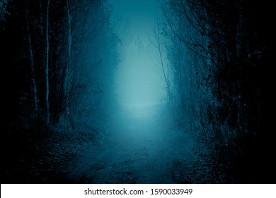 Mysterious pathway. Footpath in the dark, foggy, autumnal, mysterious forest with light light ahead.