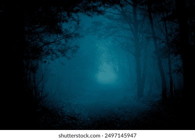 Mysterious pathway through the dark foggy forest in cold tones. - Powered by Shutterstock