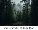 Mysterious Pine Forest Shrouded in Fog, Serene Misty Morning in the Evergreen Woods, Tranquil Coniferous Forest Enveloped in Mist