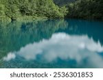 Mysterious Pond - Yamanouchi Town, Shimotakai District, Nagano Prefecture