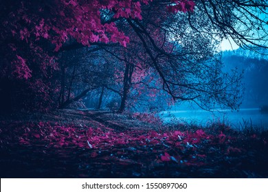 Mysterious road. Fairy Mysterious Forest. Mystical atmosphere. Paranormal another world. Stranger forest in a fog. Dark wood. Background wallpaper. Scary forest trees in a fog. Horrible dream.