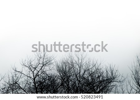 Similar – Foto Bild Fog Nebel Baum