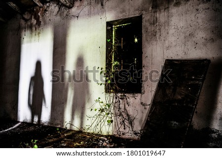 Mysterious shadow of a woman in an abandoned house - Silhouette of female ghost standing on the door of the room - Fear concept in abandoned house - Halloween concept