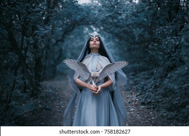 Mysterious sorceress woman witch beautiful blue dress calls for strength divine power. background cold forest tree blue fog cute Girl with hold white owl bird. Artistic fantasy Photography cloak hood
