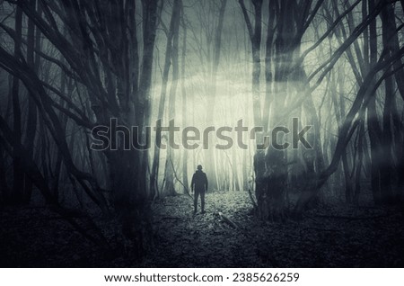mysterious surreal woods landscape with man silhouette