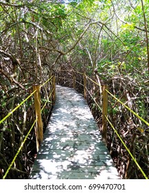 Mysterious suspended wooden bridge leading through tropical jungle to cenote in Xcacel, Mexico 