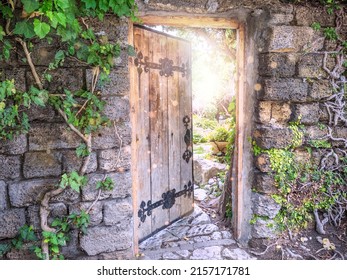 Mysterious wooden open door leading to garden as entrance to fairyland. Concept of new life, hope, happy fabulous adventure.