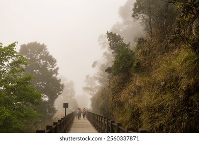 Mysterious Wooden Pathway Winding Through a Foggy, Lush Forest with Hikers - Powered by Shutterstock