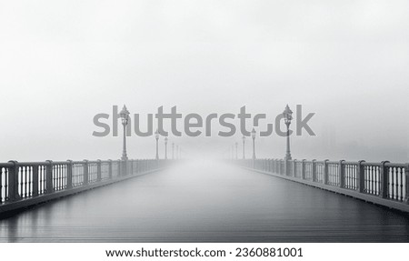 Mystery bridge over the river in the early foggy dark cold morning. Mysterious scary landscape with copy space. Concrete modern bridge abstract design space for text