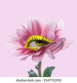 Mystery. Chrysanthemum flower with an eye inside it on pink background. Modern design. Contemporary art. Creative collage. Beauty, art, vision. Eyeball in flower. Surrealism, minimalism