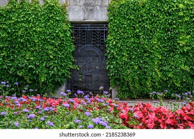 Mystery Garden, Black Metal Grate Door In A Cement Wall Covered In Green Vines, As A Nature Background
