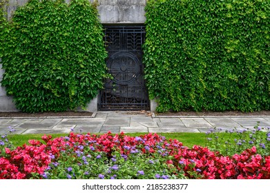 Mystery Garden, Black Metal Grate Door In A Cement Wall Covered In Green Vines, As A Nature Background
