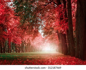 Romantic Background Images Stock Photos Vectors Shutterstock