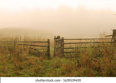 Mystic Autumn Pink Foggy Landscape With Wooden Fence And Gate