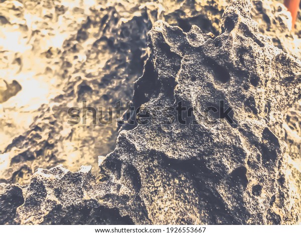 Mystic dark moon surface. Astrology, astronomy,\
paranormal activity concept or scary supernatural planet landscape.\
Dramatic toned photo of natural textures. Vietnam Hang Rai close\
view of black coral