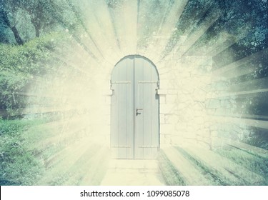 Mystic Door In A Dreamy Rosegarden  With Sunbeam