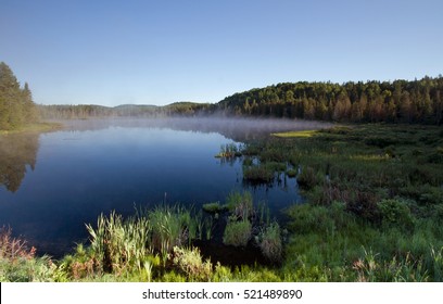  Mystic Landscape In Laurentides Quebec-Canada