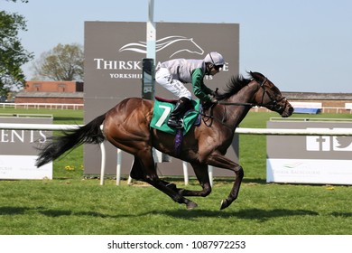 Mystic Meg Ridden By Danny Brock And Trained By Hugo Palmer Winning The Maiden Fillies Stakes At Thirsk : Thirsk Racecourse, North Yorkshire, UK : 8 May 2018 