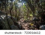 A mystic path on top of Mount Clarence in Albany, Western Australia