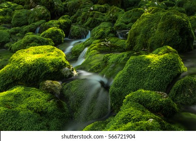 Mystic spring of mountain stream
 - Powered by Shutterstock
