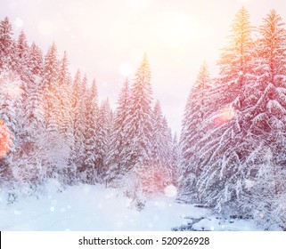 Mystic sunset in the mountains. Photo greeting card. Dramatic and picturesque scene. Bokeh light effect, soft filter. Carpathian, Ukraine, Europe. - Shutterstock ID 520926928