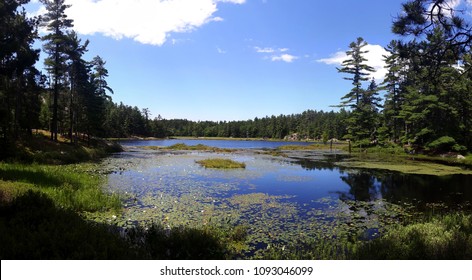 Mystic Wetlands Along The La Cloche Trail In The Killarney National Park, Ontario, Canada