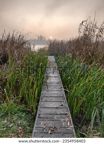 Mystical atmosphere when the first light of day illuminates the river and the surrounding reeds: wooden pier in the foggy morning, at late autumn sunrise 