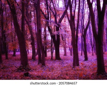 3,489 Purple misty magic Images, Stock Photos & Vectors | Shutterstock