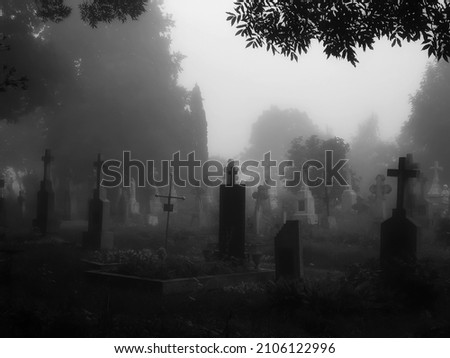 Mystical creepy cemetery in the fog. Crosses and graves in the old abandoned cemetery. Place of burial.