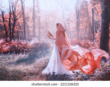 Mystical Fantasy Woman Walks In Autumn Orange Forest, Holds Cute Pet Bird Little Barn Owl On Hand. Girl Princess. Medieval Style Clothig Cape Hood Peach Dress. Fabric Train Fly Float Flutter In Wind